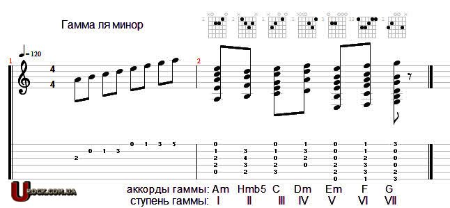 Гаммы, Аккорды На Аккордеоне